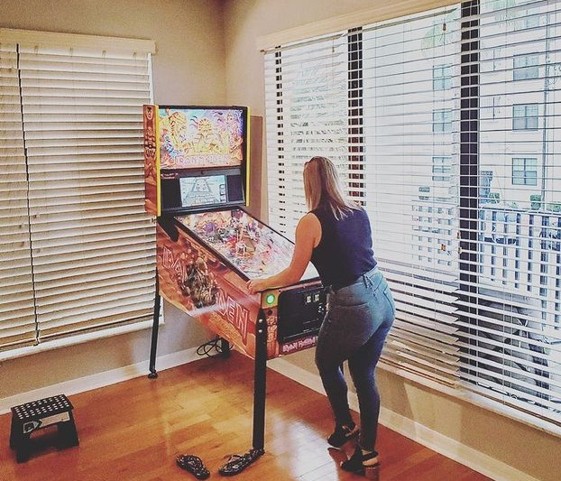 Pinball With A View