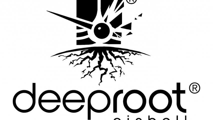 deeproot pinball